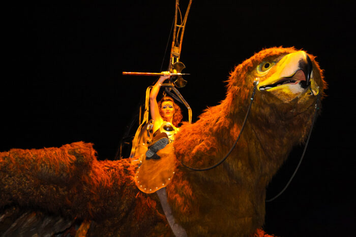 GIANT EAGLE - Imagen 3