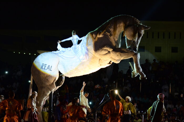 UNICORNIO MAJESTUOSO - Imagen 3