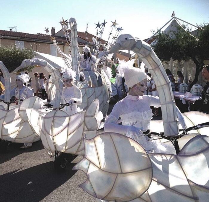 SWAN CISNE - Imagen 6