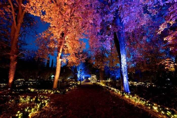 PARQUE NAVIDEÑO - Imagen 4