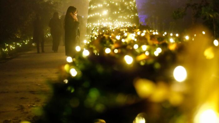 PARQUE NAVIDEÑO - Imagen 3