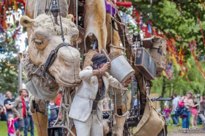 CHAMOH, THE CAMEL - Imagen 5