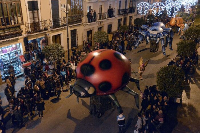 INSECTOS - Imagen 3