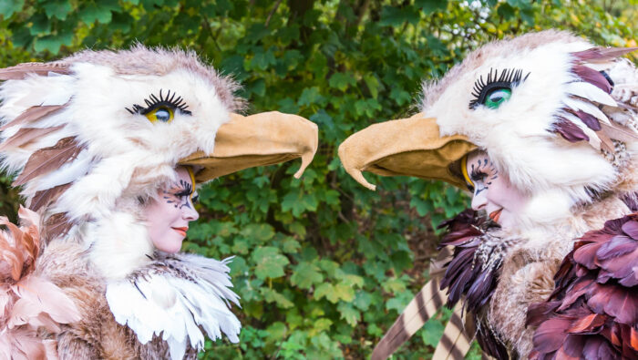 BEAKS - Imagen 3