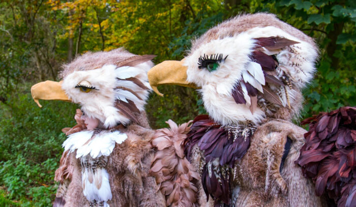 BEAKS - Imagen 4