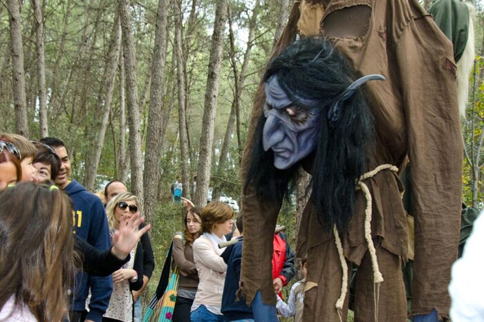 EL BOSQUE - Imagen 4