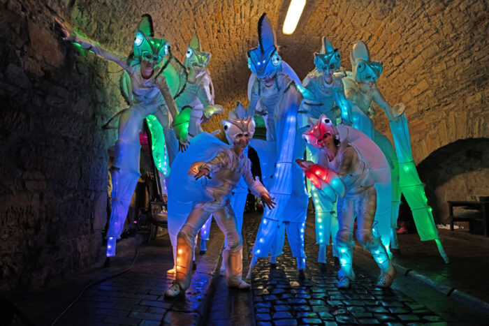 CHAMÄLEONS - Imagen 5