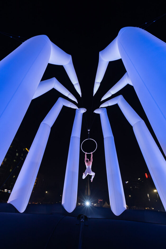 OCTOPUS - Imagen 5