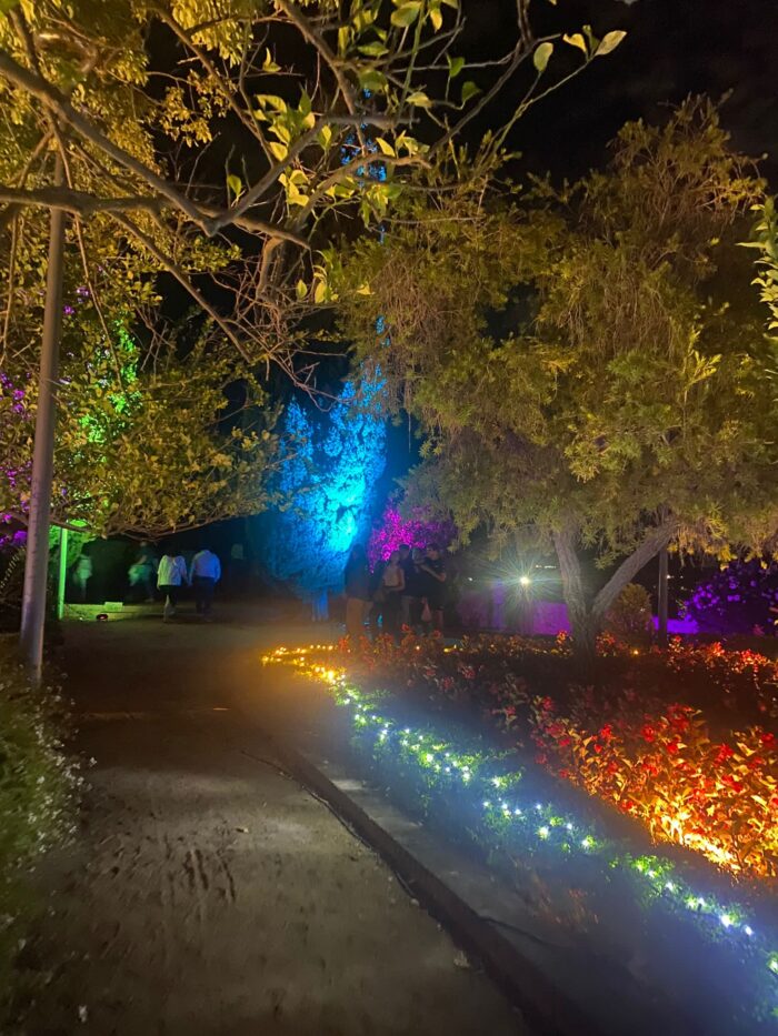 PARQUE MAGICUS - Imagen 4