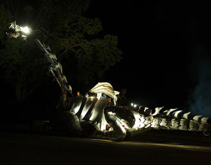 DRAGONADA - Imagen 3