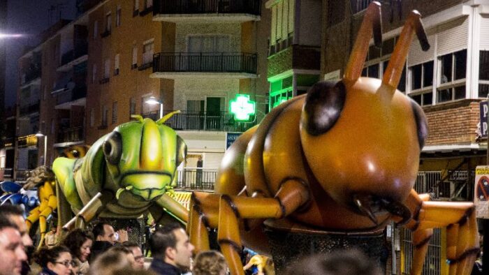 INSECTOS - Imagen 2