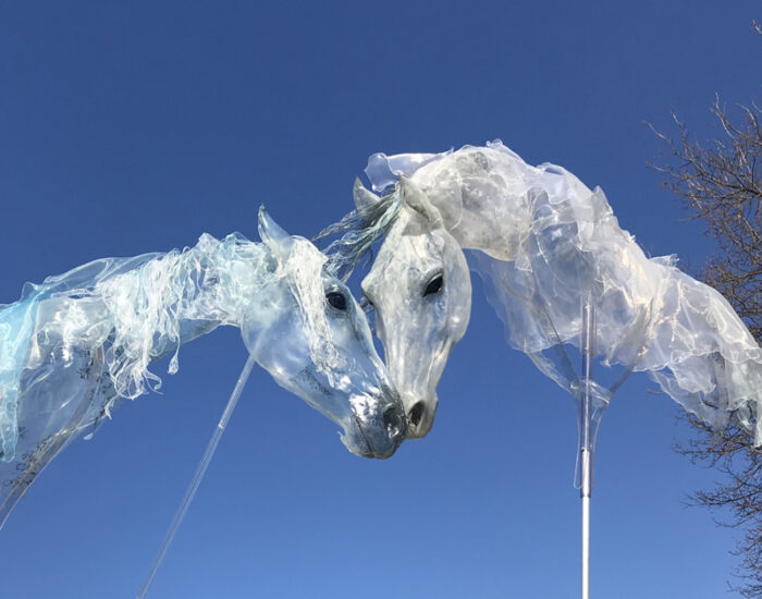 WIND HORSES - Imagen 2