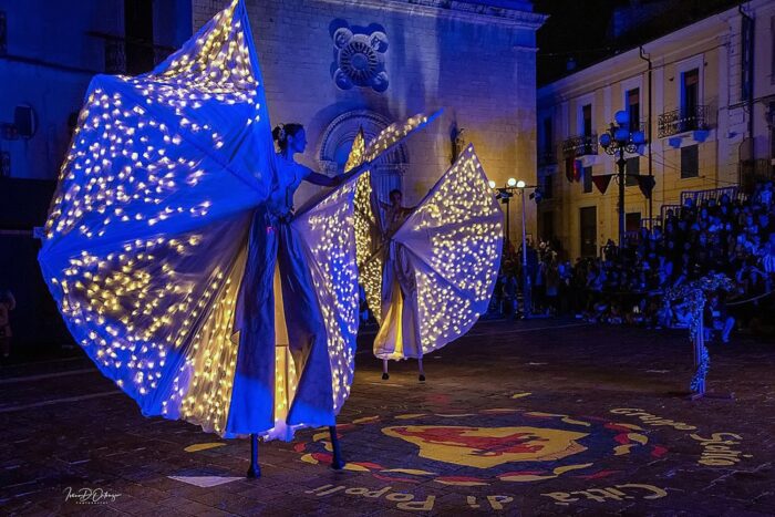 MARIPOSAS BRILLANTES - Imagen 2