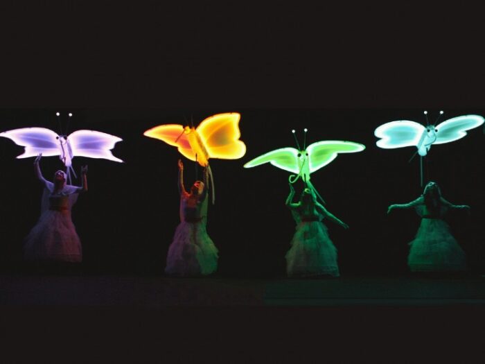 DRAGONFLYS - Imagen 5