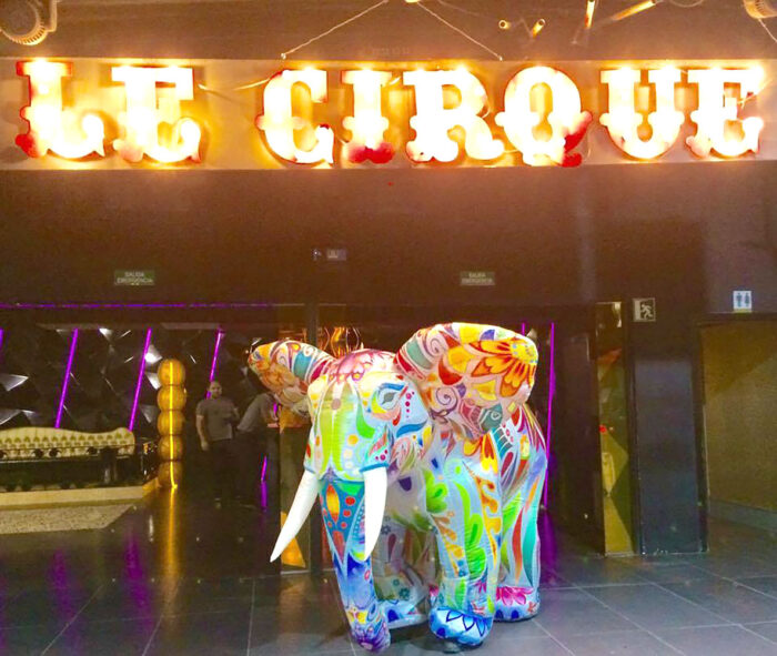 CIRCUS - Imagen 3