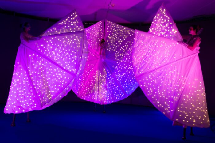 MARIPOSAS BRILLANTES - Imagen 5