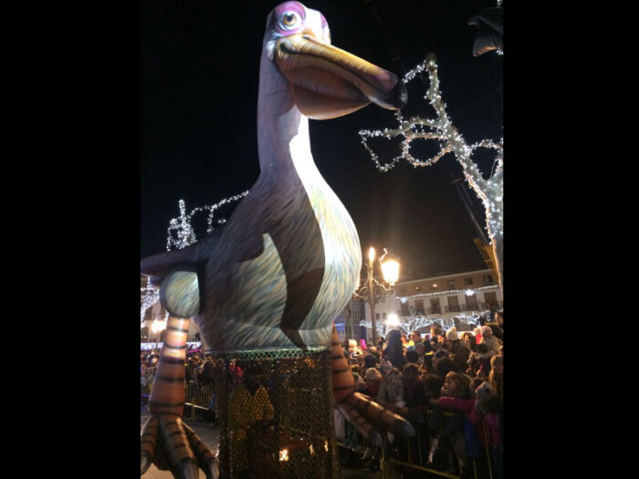 SIGUE NADANDO - Imagen 6