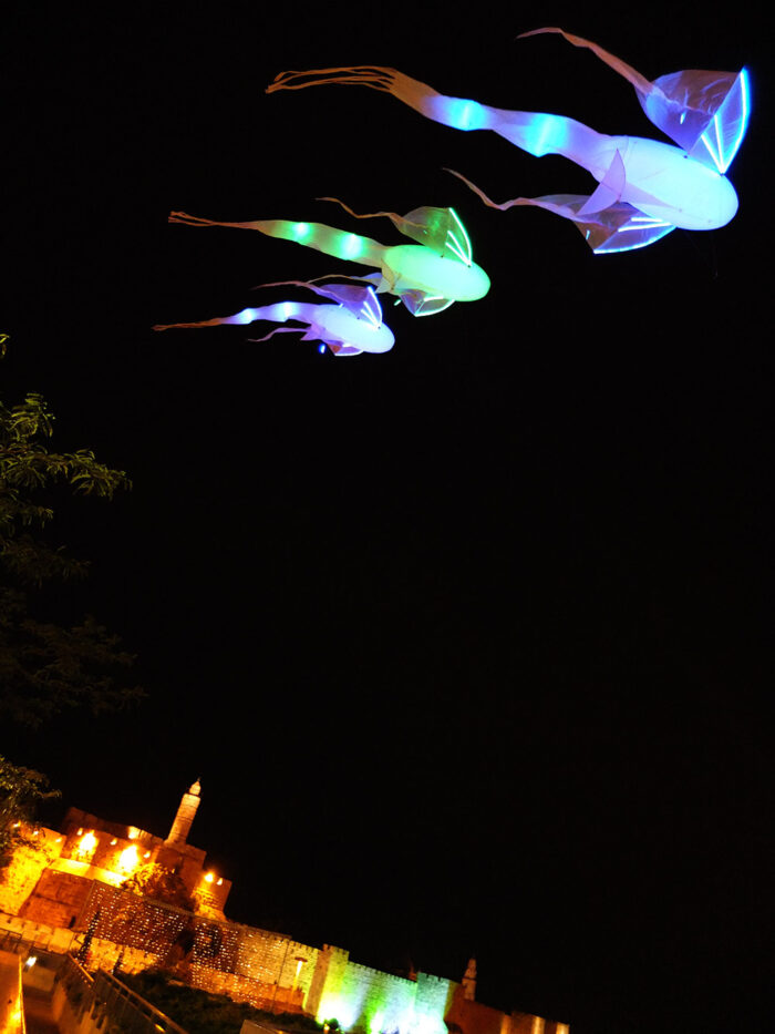 LUMINS - Imagen 3
