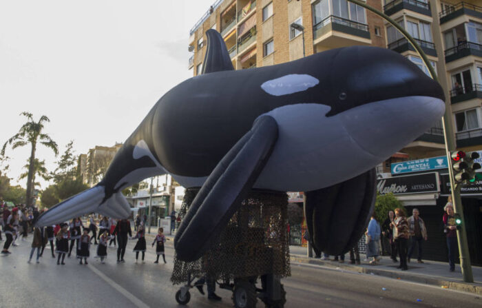 ANTARTIC WORLD - Imagen 5