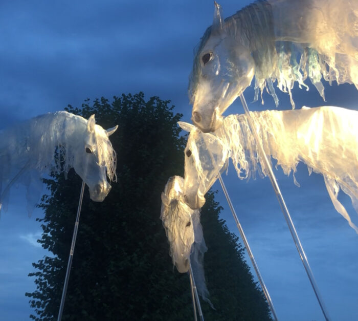WIND HORSES - Imagen 5