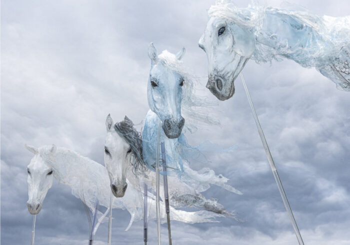 WIND HORSES - Imagen 3