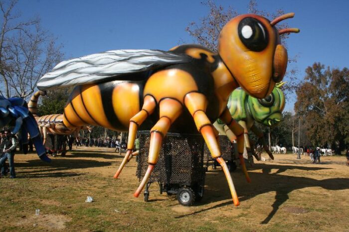 INSECTOS - Imagen 6