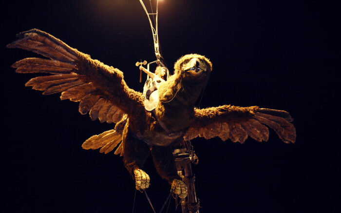 GIANT EAGLE - Imagen 6
