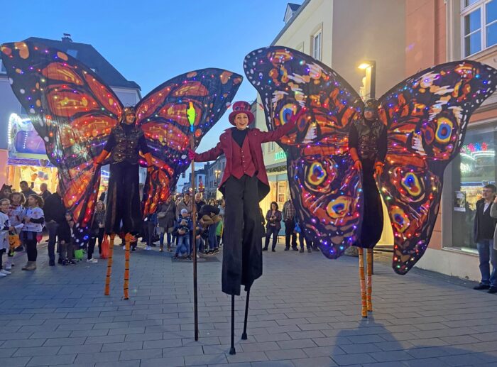 MAGIC BUTTERFLYS - Imagen 2