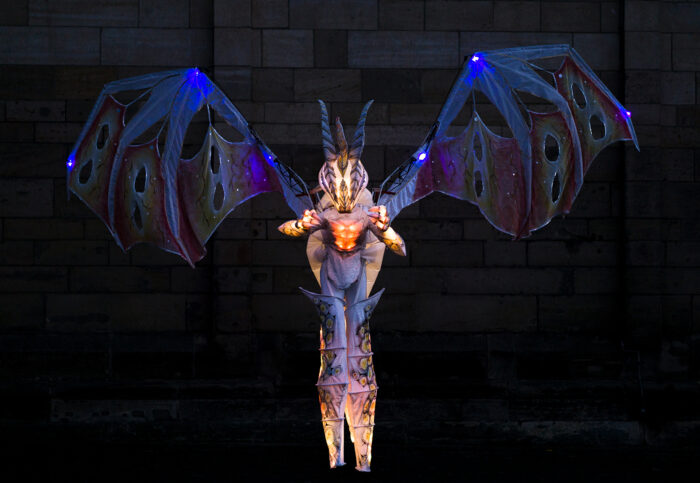 DRACHE - Imagen 2