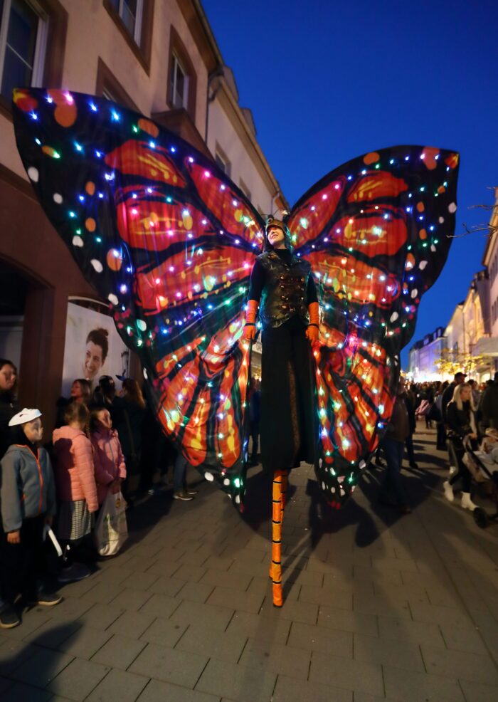 MAGIC BUTTERFLYS - Imagen 4