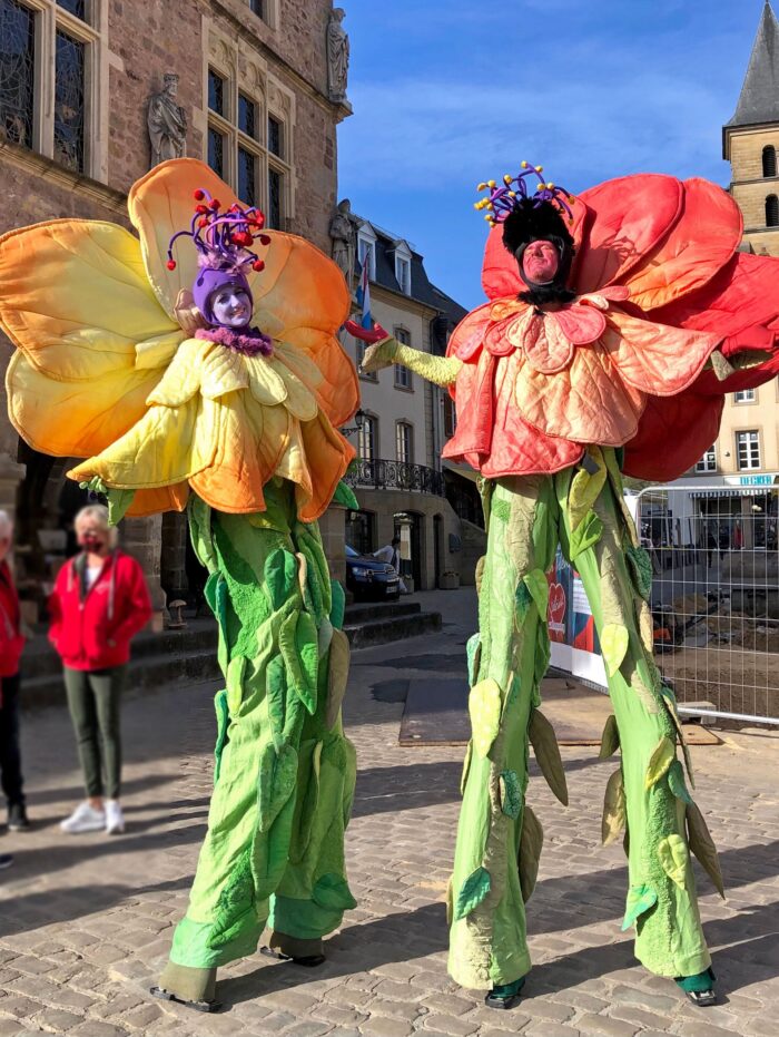 GARDEN PARADE - Imagen 6