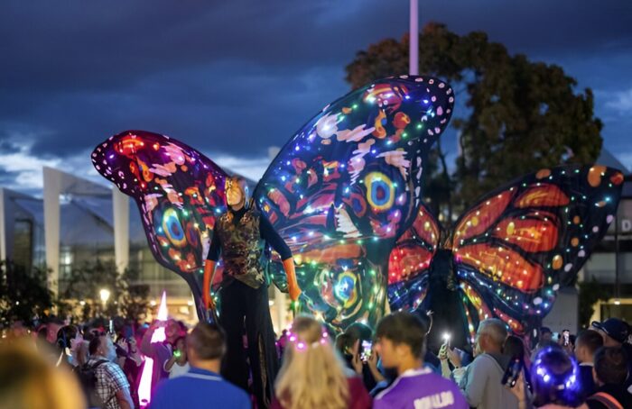 MAGIC BUTTERFLYS - Imagen 6
