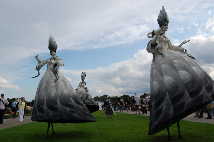 DAMISELA - Imagen 2